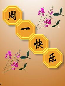 星期一早晨,新一周的启航与展望”